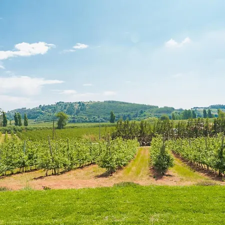 Farm stay Monte Da Varzea Da Rainha *