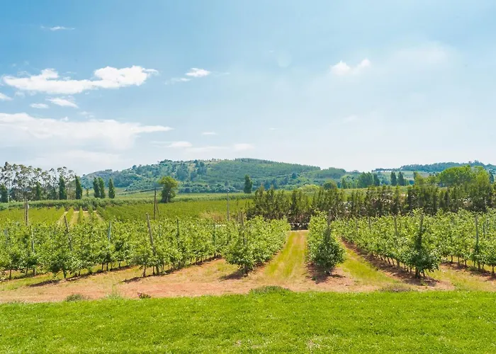 בית חווה Monte Da Varzea Da Rainha *